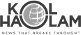 Partner logo 8